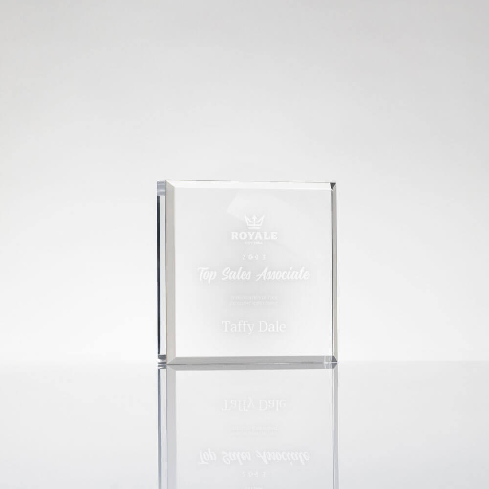 Picture of Paperweight Award