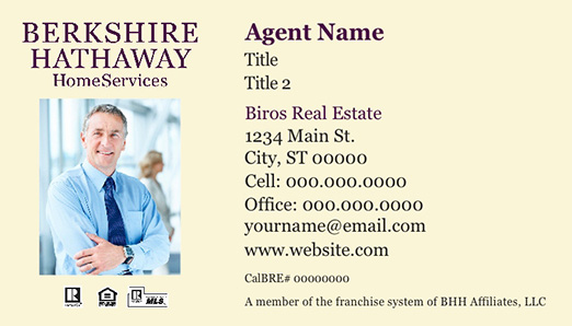 Picture of  Biros Real Estate Business Cards