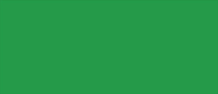 Picture of Blank Green #10 Envelopes