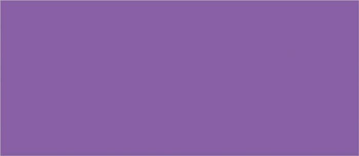 Picture of Lilac Purple #10 Envelopes