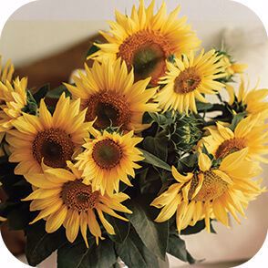 Picture of Sunflower Bouquet - Envelope Sealer