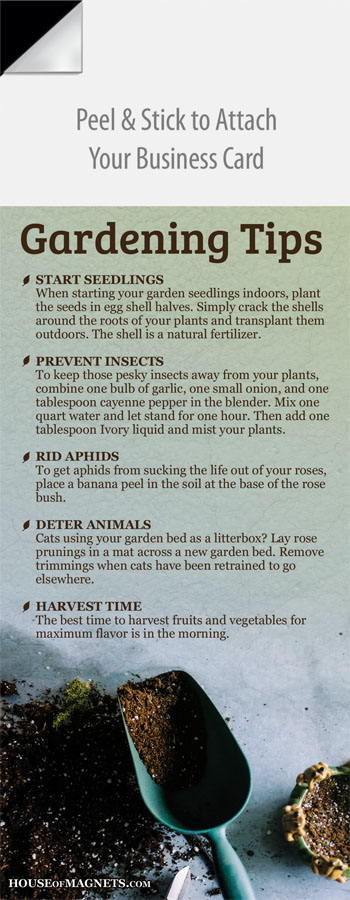 Picture of Gardening Tips 2