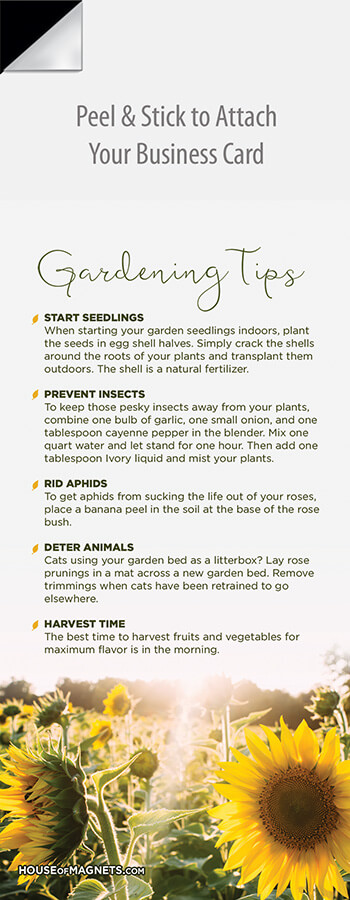 Picture of Gardening Tips 3
